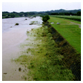 平成24年7月12日　九州中部・北部の大豪雨後の大野川